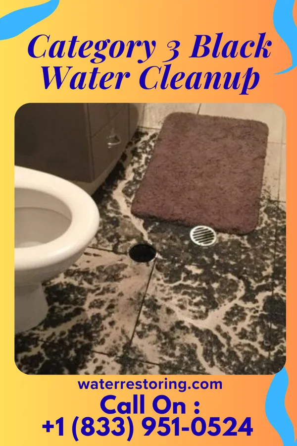 Category 3 Black Water Cleanup in Big Stone Gap, VA