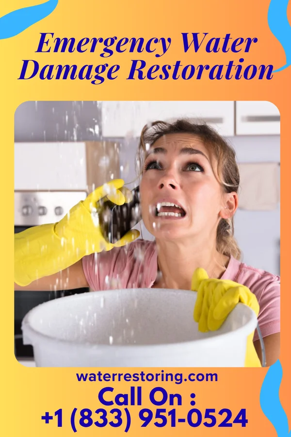 Emergency Water Damage Restoration in Big Stone Gap, VA