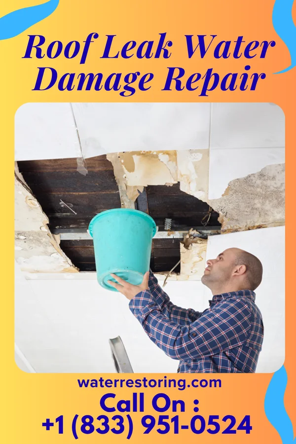 Roof Leak Water Damage Repair in Big Stone Gap, VA