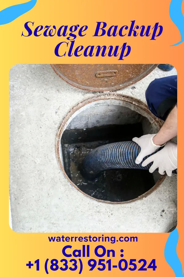 Sewage Backup Cleanup in Big Stone Gap, VA