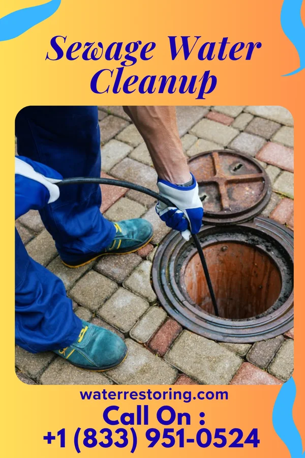 Sewage Water Cleanup in Big Stone Gap, VA